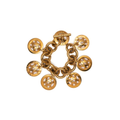 Celine curb chain charm bracelet with gold-toned links and decorative charms, stylish accessory for wrist.