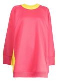 Celine colour block oversized sweatshirt, soft fabric, with bold contrasting panels, casual fit, long sleeves, and ribbed cuffs.