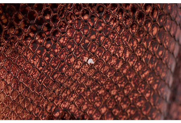 Bottega Veneta Metallic Rust Python Tote